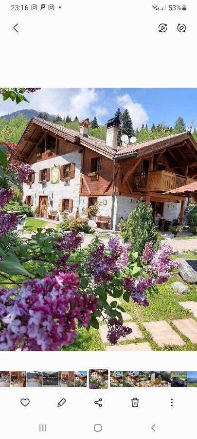 Bed and Breakfast Maso Pin Madonna Exterior foto